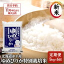 81位! 口コミ数「0件」評価「0」北海道赤平産 ゆめぴりか 5kg 特別栽培米 【6回お届け】 精米 米 北海道 定期便 ふるさと納税 お届け:2025年11月中旬より順次出荷
