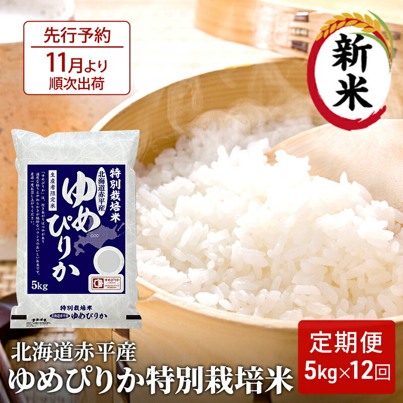 【ふるさと納税】北海道赤平産 ゆめぴりか 5kg 特別栽培米 【12回お届け】 精米 米 北海道 定期便　【定期便・定期便 ふるさと納税 ゆめぴりか 米 赤平産】 1