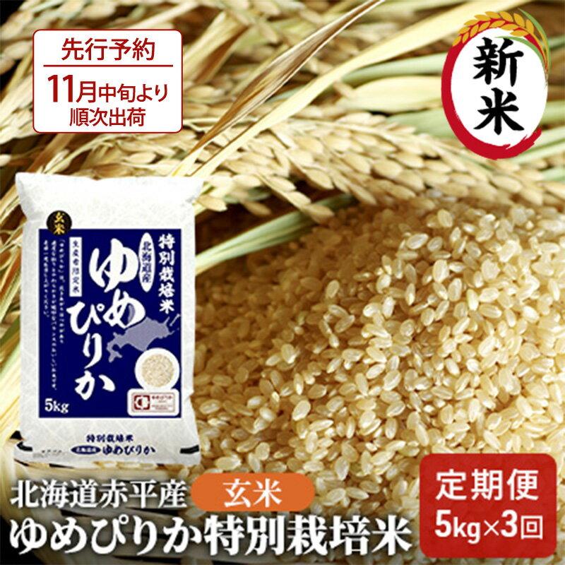 【ふるさと納税】【先行予約2024年産米・11月より順次出荷】玄米 北海道赤平産 ゆめぴりか 5kg...