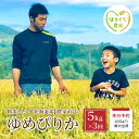 北海道赤平産ゆめぴりか5kg 精米したて直送　　お届け：2023年10月中旬頃より3ヶ月連続のお届けとなります。※天候や発育によりお届けが遅れることがあります。