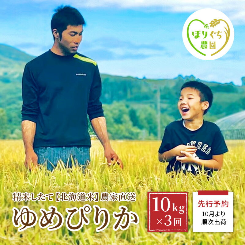 [2023年産米][3ヶ月定期便]北海道赤平産ゆめぴりか10kg 精米したて直送 [定期便・ ゆめぴりか 3ヶ月 3回 北海道 赤平産] お届け:2023年10月中旬頃より3ヶ月連続のお届けとなります。※天候や発育によりお届けが遅れることがあります。