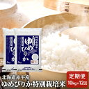 北海道赤平産 ゆめぴりか 10kg (5kg×2袋) 特別栽培米  米 北海道 定期便　