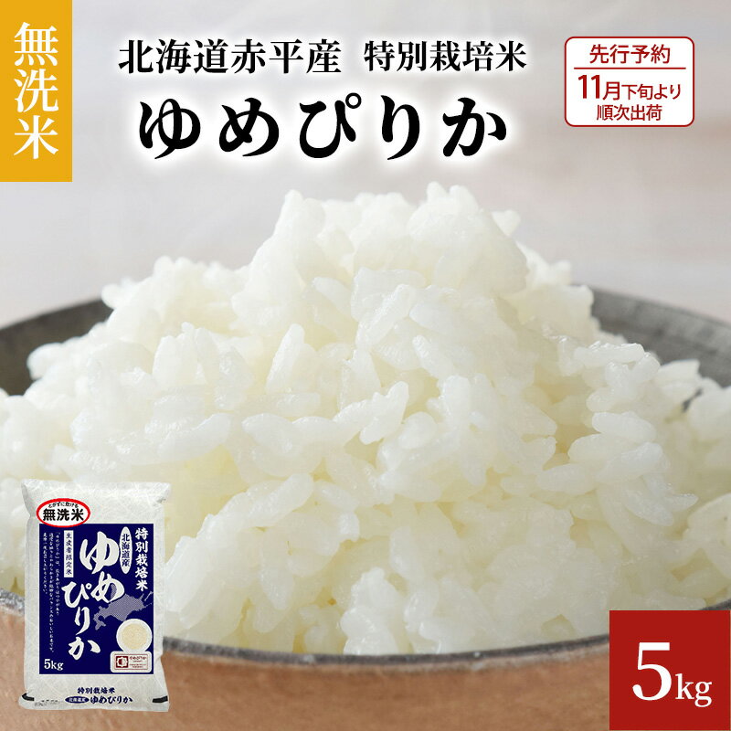 [先行予約2024年産米・10月下旬より順次出荷]無洗米 北海道赤平産 ゆめぴりか 5kg 特別栽培米 米 北海道 [米 お米 ふるさと納税 無洗米 特別栽培 ゆめぴりか] お届け:2024年10下旬より順次出荷