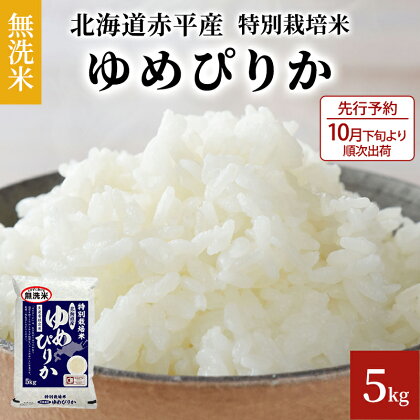 無洗米 北海道赤平産 ゆめぴりか 5kg 特別栽培米 米 北海道　【米 お米 ふるさと納税 無洗米 特別栽培 ゆめぴりか】