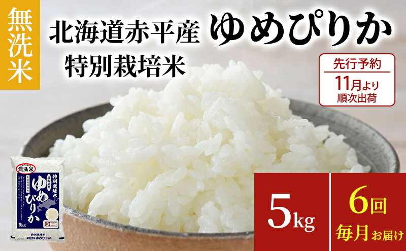 【ふるさと納税】無洗米 北海道赤平産 ゆめぴりか 5kg 特別栽培米 【6回お届け】 米 北海道 定期便　【定期便・定期便 ふるさと納税 ゆめぴりか 無洗米 赤平産】