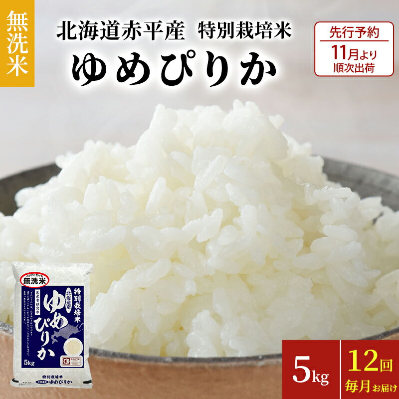 【ふるさと納税】【先行予約2024年産米・11月より順次出荷】無洗米 北海道赤平産 ゆめぴりか 5k...