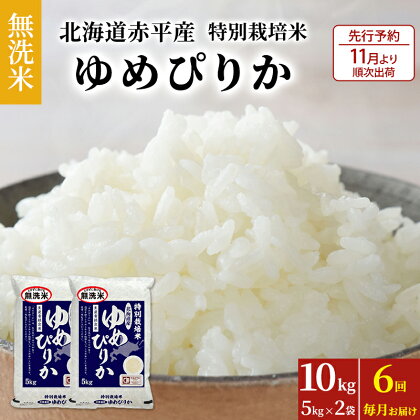 無洗米 北海道赤平産 ゆめぴりか 10kg (5kg×2袋) 特別栽培米 【6回お届け】 米 北海道 定期便　【定期便・定期便 米 お米 ゆめぴりか ふるさと納税 無洗米 定期便 特別栽培 赤平産】