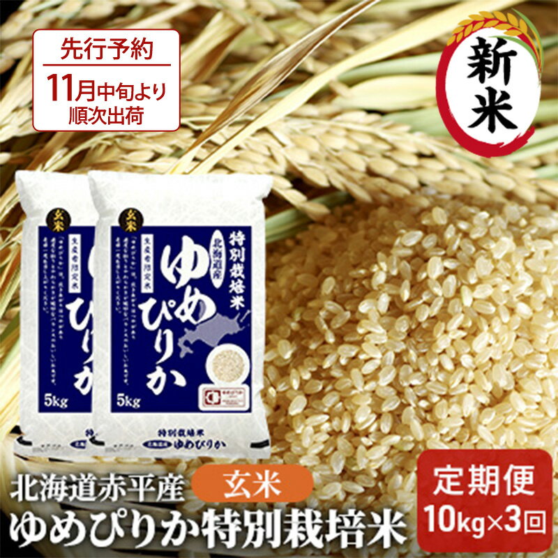 [先行予約2024年産米・11月より順次出荷]玄米 北海道赤平産 ゆめぴりか 10kg (5kg×2袋) 特別栽培米 [3回お届け] 米 北海道 定期便 [定期便・定期便 ふるさと納税 ゆめぴりか 玄米 お米 米] お届け:2024年11月より順次出荷