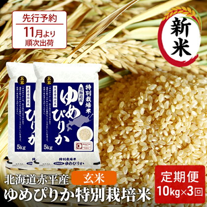 玄米 北海道赤平産 ゆめぴりか 10kg (5kg×2袋) 特別栽培米 【3回お届け】 米 北海道 定期便　【定期便・定期便 ふるさと納税 ゆめぴりか 玄米 お米 米】