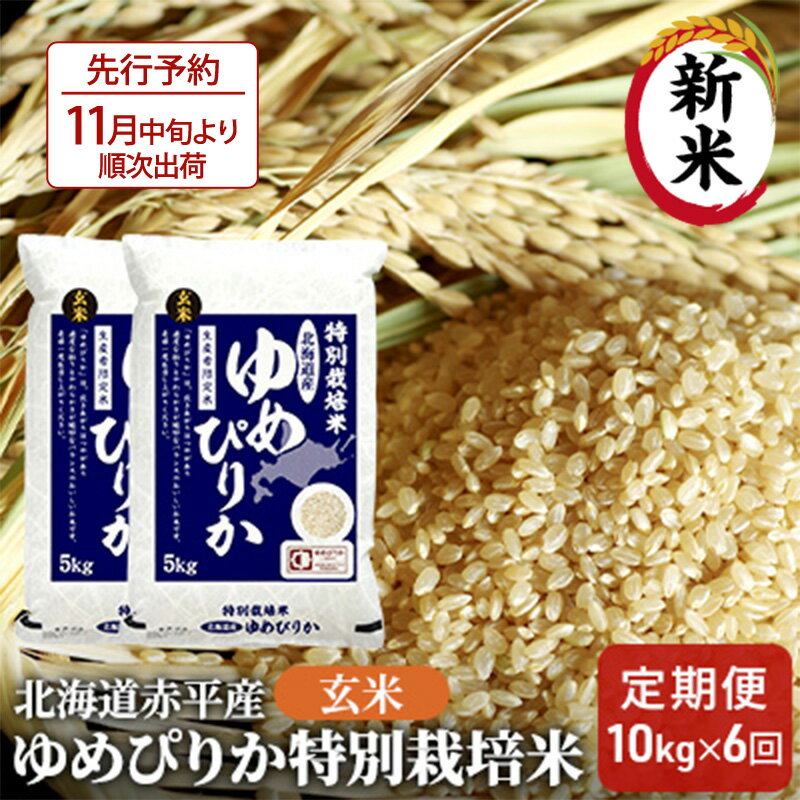 [先行予約2024年産米・11月より順次出荷]玄米 北海道赤平産 ゆめぴりか 10kg (5kg×2袋) 特別栽培米 [6回お届け] 米 北海道 定期便 [定期便・ふるさと納税 玄米 定期便 ゆめぴりか お米 米] お届け:2024年11月より順次出荷