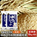 玄米 北海道赤平産 ゆめぴりか 10kg (5kg×2袋) 特別栽培米  米 北海道 定期便　