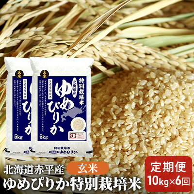 玄米 北海道赤平産 ゆめぴりか 10kg (5kg×2袋) 特別栽培米 【6回お届け】 米 北海道 定期便　【定期便・ふるさと納税 玄米 定期便 ゆめぴりか お米 米】