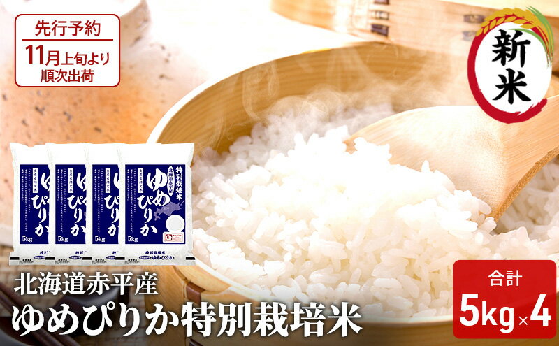 【ふるさと納税】北海道赤平産 ゆめぴりか 20kg (5kg×4袋) 特別栽培米 米 北海道　【米 お米 ふるさと納税 米 北海道 赤平産】