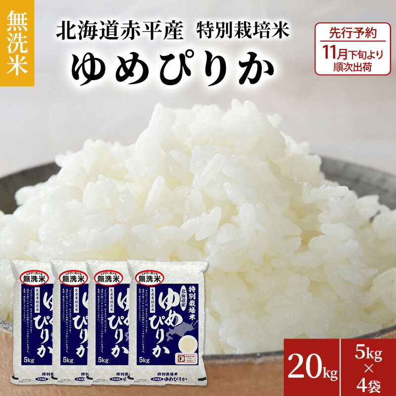 【ふるさと納税】【先行予約2024年産米・10月下旬より順次出荷】無洗米 北海道赤平産 ゆめぴりか 20kg...