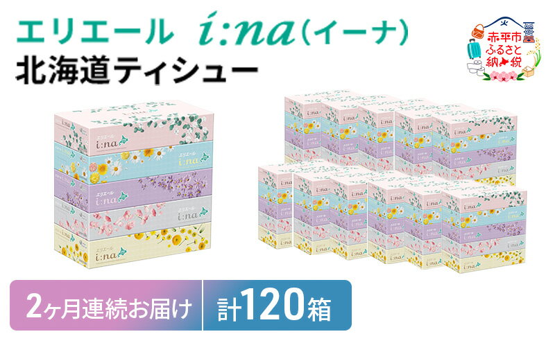 【ふるさと納税】【2回お届け・計120箱】エリエール i:na（イーナ）北海道ティシュー 150組5箱×12パック ティッシュペーパー 箱ティッシュ ボックスティッシュ 日用品 消耗品　【定期便・福祉用品・雑貨・日用品・雑貨・日用品】