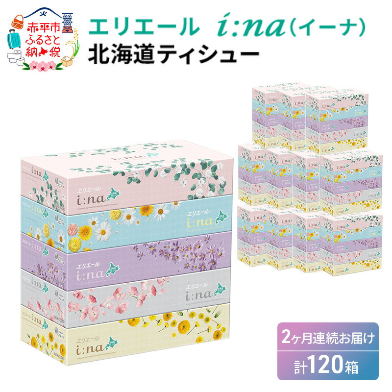 [2回お届け・計120箱]エリエール i:na(イーナ)北海道ティシュー 150組5箱×12パック ティッシュペーパー 箱ティッシュ ボックスティッシュ 日用品 消耗品 [定期便・福祉用品・雑貨・日用品・雑貨・日用品]