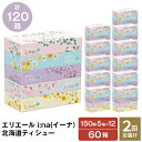 【ふるさと納税】【2回お届け 計120箱】エリエール i:na（イーナ）北海道ティシュー 150組5箱×12パック ティッシュペーパー 箱ティッシュ ボックスティッシュ 日用品 消耗品 【定期便 福祉用品 雑貨 日用品 雑貨 日用品】