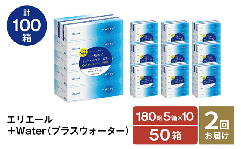 【ふるさと納税】【2ヵ月連続お届け・計100箱】エリエール ＋Water 180組 5箱×10パック ティッシュペーパー 箱ティッシュ ボックスティッシュ 日用品 消耗品　【定期便・福祉用品・雑貨・日用品・雑貨・日用品】