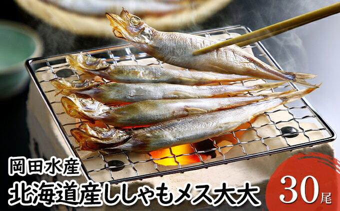 【ふるさと納税】北海道産ししゃもメス大大30尾 北海道 稀少 魚シシャモ メス おつまみ　【 魚貝類 干物 本物 人気 希少 塩 味付け 脂のり 旨み 美味しい 大きい 】