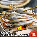 北海道産ししゃもメス大大30尾 北海道 稀少 魚シシャモ メス おつまみ　