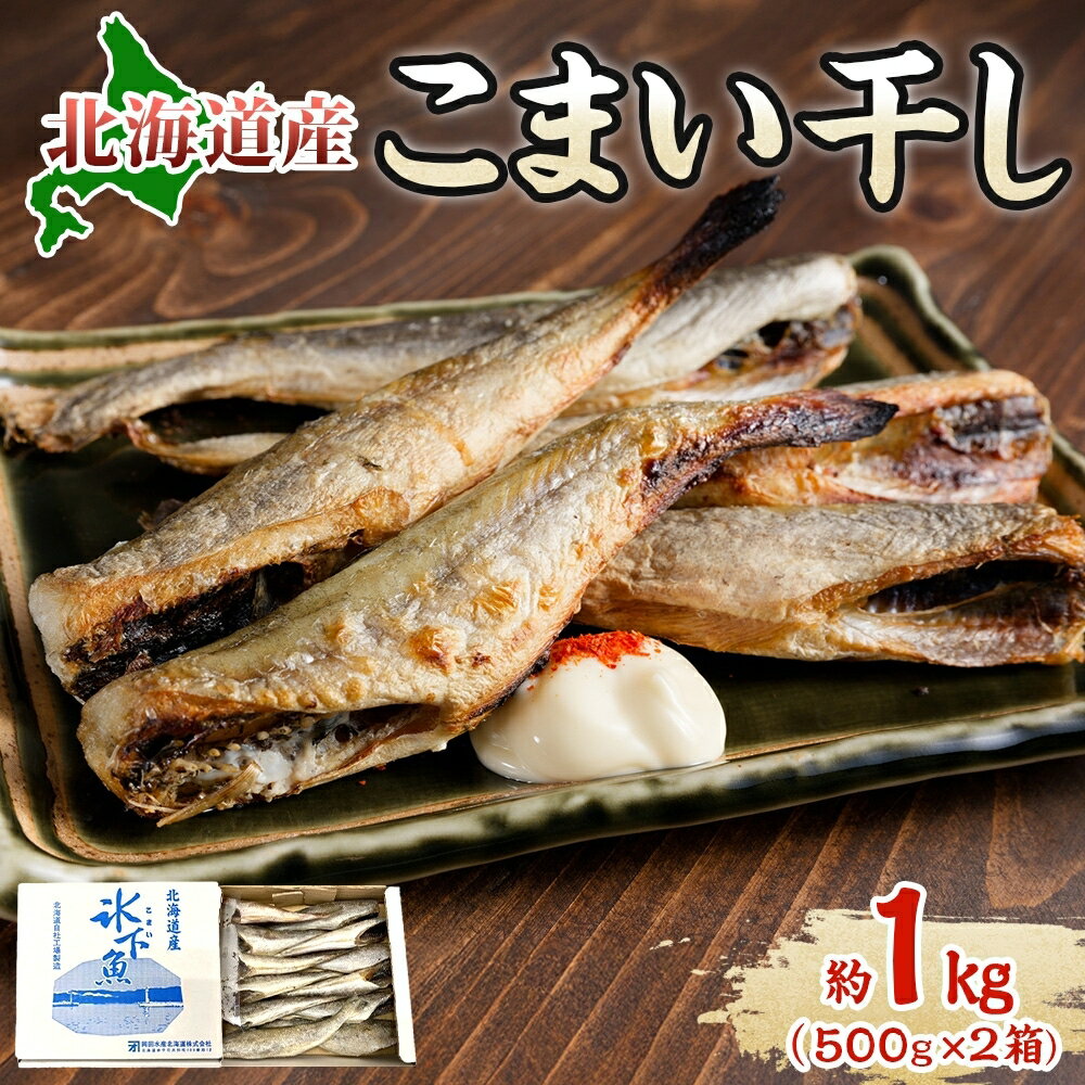 【ふるさと納税】北海道産こまい干し 約1kg(500g×2) 化粧箱入 氷下魚 干し魚 おかず おつまみ 揚げ物　【魚貝類・干物・タラ科漁獲急速冷凍塩 味付け 旨み 美味しいソフト】