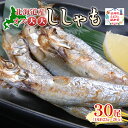 【ふるさと納税】北海道産ししゃもオス大大30尾 北海道 稀少 魚 シシャモ オス おつまみ 魚貝類 干物 本物 人気 希少 塩 味付け 脂のり 旨み 美味しい ...