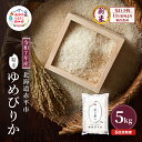 【ふるさと納税】【先行予約】令和7年産 北海道 赤平産 ゆめぴりか 5kg 6ヵ月連続お届け 白米 精米 米 北海道 ごはん ご飯 ライス おにぎり 定期便 定期 お楽しみ 3回 お届け:2025年11月初旬より順次出荷