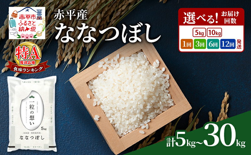 【ふるさと納税】ななつぼし 白米 精米 米 選べる 単品 定期便 5kg 10kg 北海道米 赤平産 お米 ごはん ご飯 ライス おにぎり 特A 北海道 赤平市 《定期便は入金翌月から出荷開始》　お届け：準備でき次第順次出荷