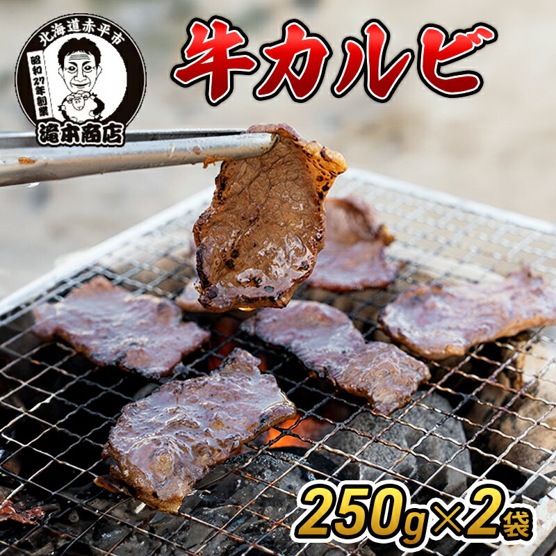 たきもとの牛カルビ250g×2袋 焼肉 バーベキュー BBQ 牛 牛肉 カルビ 冷凍 アウトドア タレ 味付け 北海道 ふるさと納税