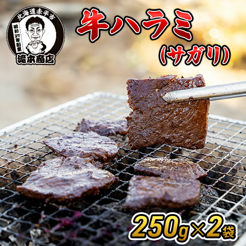 たきもとの牛ハラミ(サガリ)250g×2袋 焼肉 バーベキュー BBQ 牛 牛肉 ハラミ サガリ 冷凍 アウトドア タレ 味付け 北海道 ふるさと納税