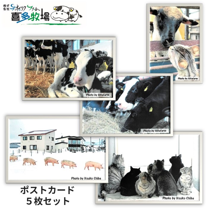 188位! 口コミ数「0件」評価「0.0」3-4 喜多牧場ポストカードセット