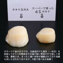 【ふるさと納税】14-66 北海道オホーツク海産ホタテ玉冷大(1kg)【緊急支援品】｜ホタテ ほたて 帆立 貝柱 貝 冷凍 1kg 1000g 特大 大粒 2