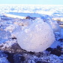【ふるさと納税】10-1 オホーツク海の流氷(5kg程度)