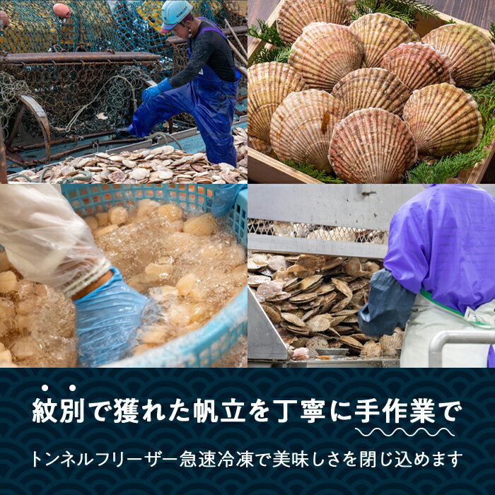 【ふるさと納税】15-223 紋別一等～冷凍帆立貝柱1.1kg×1パック【緊急支援品】