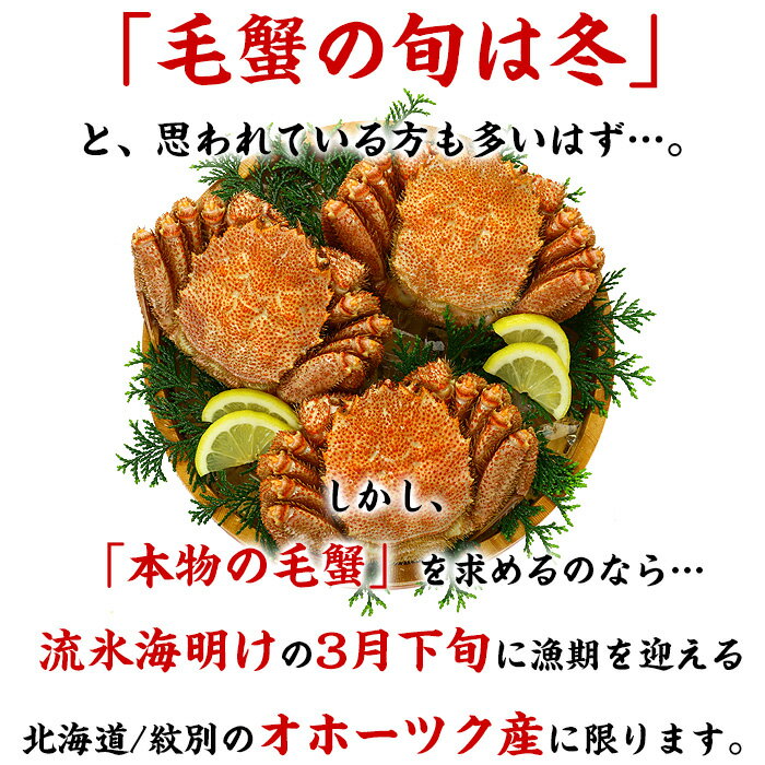 北海道紋別市の画像3