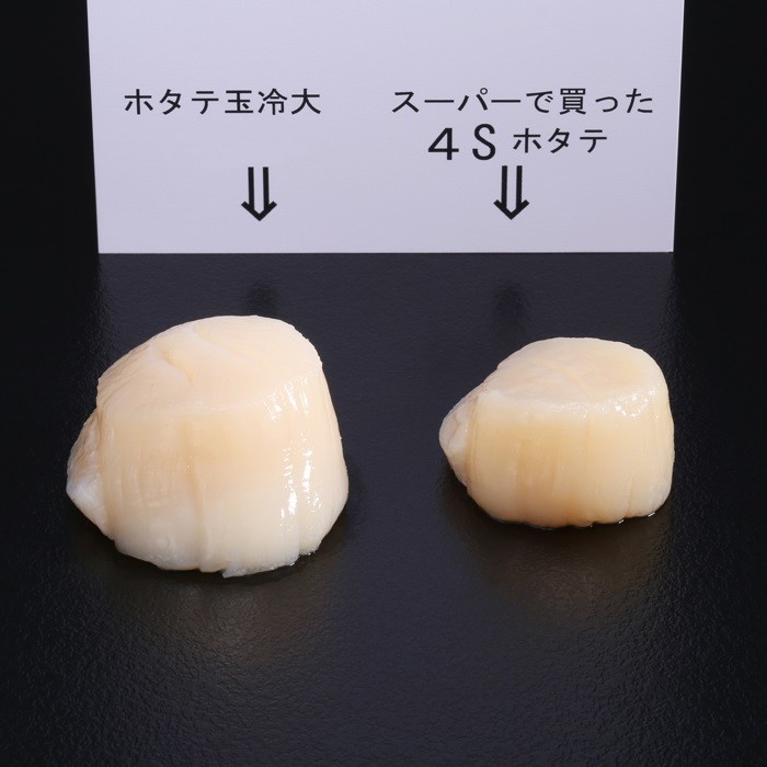 【ふるさと納税】28-15 北海道オホーツク海産ホタテ玉冷大2kg【緊急支援品】｜ ホタテ ほたて 帆立 貝柱 貝 冷凍 2kg 2000g 特大 大粒