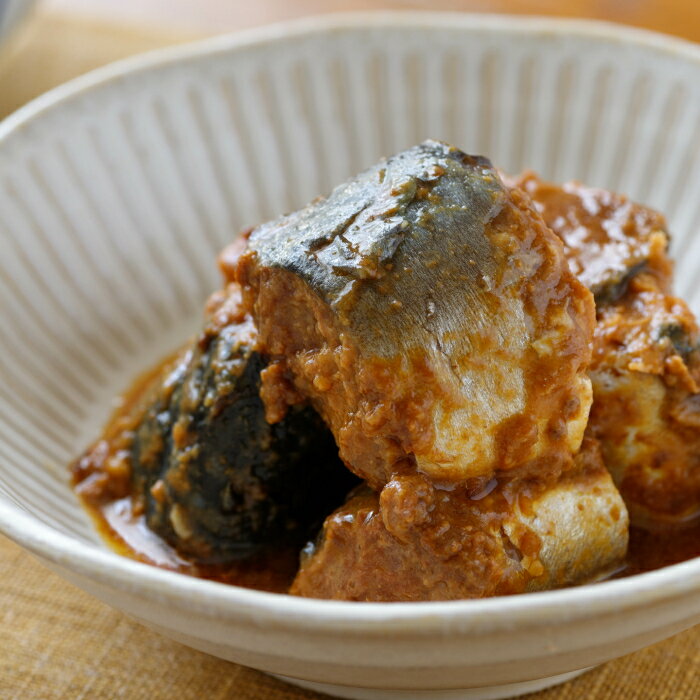 【ふるさと納税】30-90 さば味噌煮缶B(20缶)