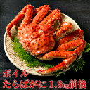 商品画像2