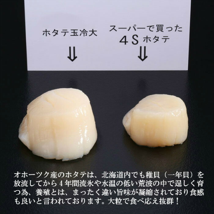 【ふるさと納税】84-4 【定期便6か月】北海道オホーツク海産ホタテ玉冷大(1kg)×6回【緊急支援品】