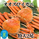 【ふるさと納税】北海道産 特大 ボイル オオズワイガニ 姿 2尾 1.5kg 内外 | お中元 御中元 夏ギフト ギフト 贈り物 贈答 国産 カニ かに 蟹 ず...