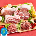 【ふるさと納税】喜多牧場の豚肉バラエティーセット | お中元 御中元 夏ギフト ギフト 贈り物 贈答