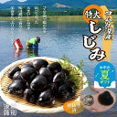 【ふるさと納税】紋別市 コムケ湖産 手獲り 特大 しじみ 600g | お中元 御中元 夏ギフト ギフト 贈り物 贈答 味噌汁 シジミ 小分け 冷凍 国産 北海道 道産 紋別産 味噌汁 蜆汁 お吸い物 お鍋 貝