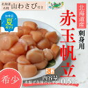 【ふるさと納税】希少 お刺身 赤帆立 選べる 800g 1.6kg | お中元 御中元 夏ギフト ギフト 贈り物 贈答 小分け 北海道産 グルメ 海鮮丼 北海道 帆立 ホタテ ほたて