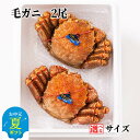 【ふるさと納税】毛ガニ 2尾 | お中元 御中元 夏ギフト ギフト 贈り物 贈答 選べる 毛蟹 かに カニ 蟹 姿 グルメ プレゼント ギフト ふるさと納税 納...