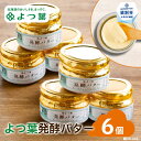 【ふるさと納税】19-65 よつ葉発酵バター(113g)(6個)