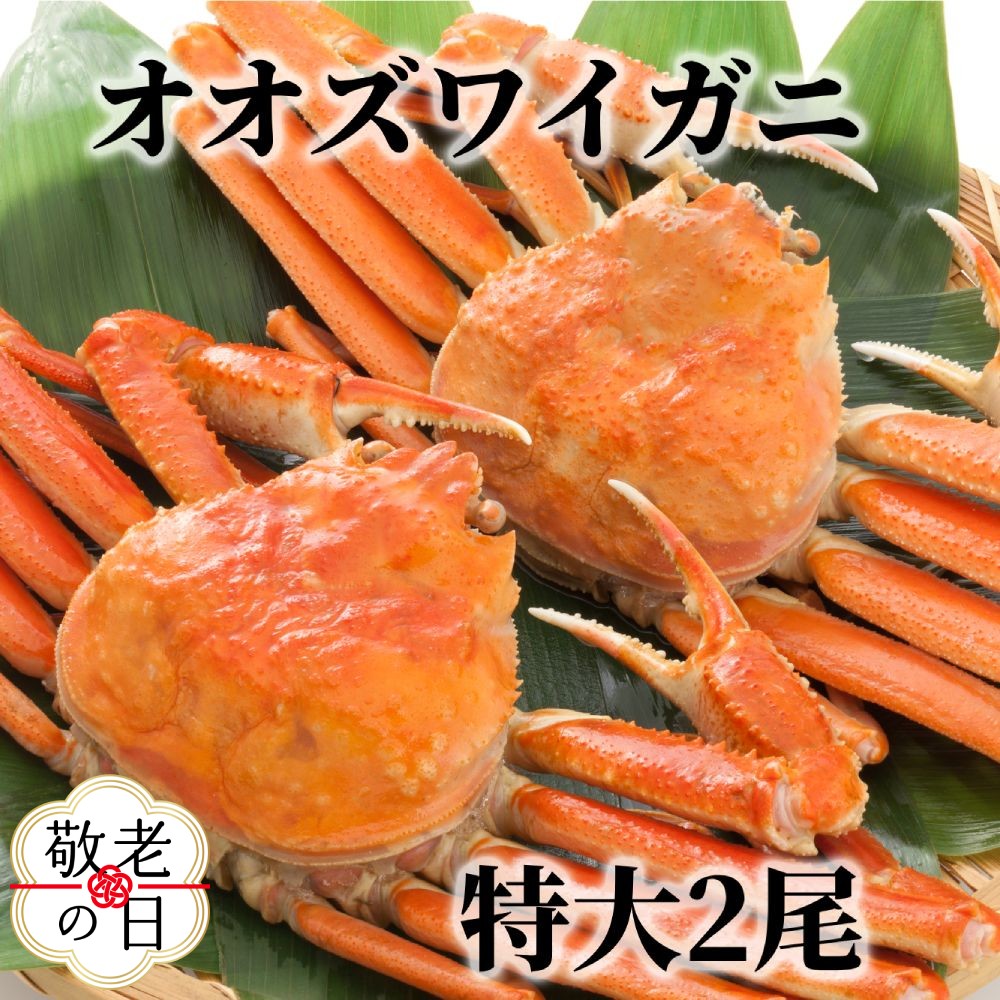 【ふるさと納税】北海道産 特大 ボイル オオズワイガニ 姿 2尾 1.5kg 内外 | 敬老の日 敬老 敬老ギフト ギフト 贈り物 贈答 国産 カニ かに 蟹 ずわいがに ずわい蟹 ズワイガニ 北海道 ズワイガニ姿 お取り寄せ 冷凍 鍋 味噌汁 だし 雑のサムネイル
