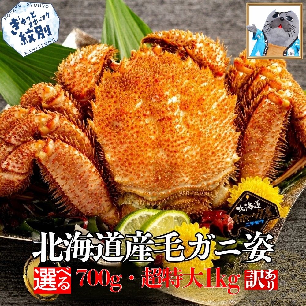 訳あり 北海道産 毛ガニ | ボイル 毛ガニ 毛蟹 毛がに カニ かに 蟹 かに姿 姿 選べる 超特大 紋別市 紋別 アザラシ