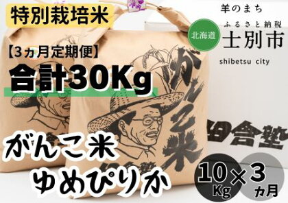 E7036（3ヵ月定期便）田舎塾特別栽培米「がんこ米ゆめぴりか」10kg×3ヵ月