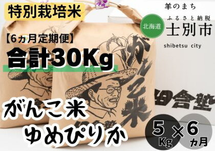 E7037（6ヵ月定期便）田舎塾特別栽培米「がんこ米ゆめぴりか」5kg×6ヵ月
