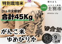 ・名称　　　　精米 ・産地　　　　北海道士別市 ・品種　　　　ゆめぴりか ・産年　　　　令和5年度産 ・使用割合　　単一原料米 ・内容量　　　ゆめぴりか　5kg×9ヵ月 ・精米年月日　別途商品ラベルに記載 +‥‥‥‥‥‥‥‥‥‥‥‥‥‥‥‥‥‥‥‥‥‥‥‥‥‥‥‥‥‥‥+ 北海道士別市上士別町で収穫された特別栽培米 天塩川の清流と肥大な大地、山に囲まれた温暖な気候と寒暖差が育くむ美味しいお米ゆめぴりか6か月定期にお届けします。 ※特別栽培米は農業の自然循環機能を高めることを目的に、生産する県や地域によって定められた慣行レベルと比べて、 節減対象農薬の使用と、 化学肥料 の窒素成分量を5割以下に抑えて 栽培されたお米のことを言います。 +‥‥‥‥‥‥‥‥‥‥‥‥‥‥‥‥‥‥‥‥‥‥‥‥‥‥‥‥‥‥‥+ ・ふるさと納税よくある質問はこちら ・寄附申込みのキャンセル、返礼品の変更・返品はできません。あらかじめご了承ください。「ふるさと納税」寄付金は、下記の事業を推進する資金として活用してまいります。 寄付を希望される皆さまの想いでお選びください。 (1) こだわり交流プロジェクト (2) いきいき健康プロジェクト (3) すくすく子育てプロジェクト (4) さわやか環境プロジェクト (5) はつらつ産業プロジェクト (6) 指定事業なし 入金確認後、注文内容確認画面の【注文者情報】に記載の住所にお送りいたします。 発送の時期は、寄附確認後2ヵ月以内をを目途に、お礼の特産品とは別にお送りいたします。